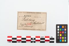 Etikett zu Bronzeknotenarmreif (NHMW-PRAE-025344)